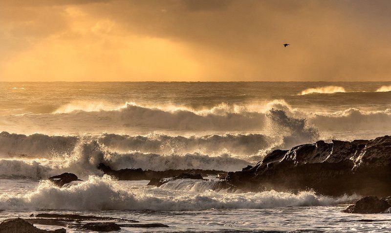 Десять песен о волнах, набегающих на берег... (с) Динараphoto preview