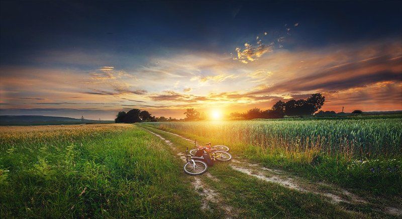 По дороге домойphoto preview