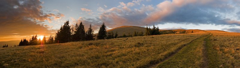 карпаты, горы, вечер, дорога, елки, осень, закат Дорога в небесаphoto preview