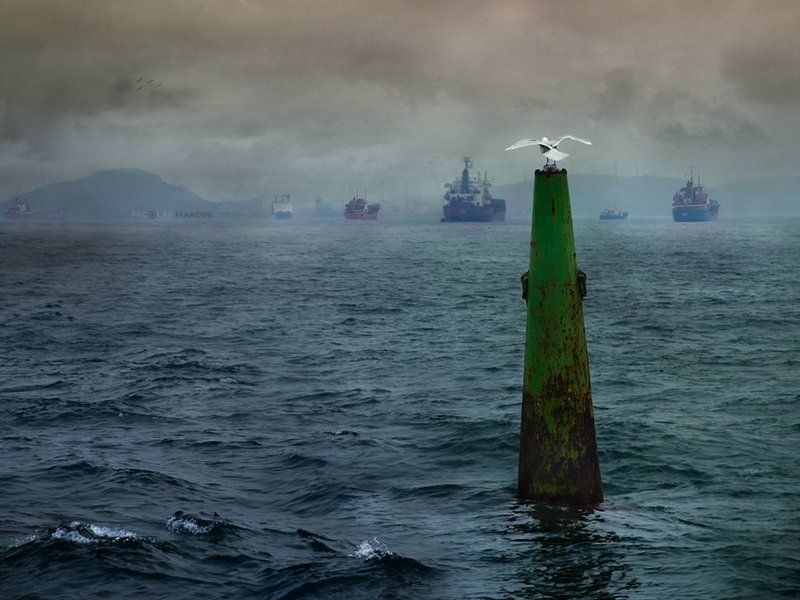 японское, , , море, , , корабли, , , буй, чайка Difficult choicephoto preview