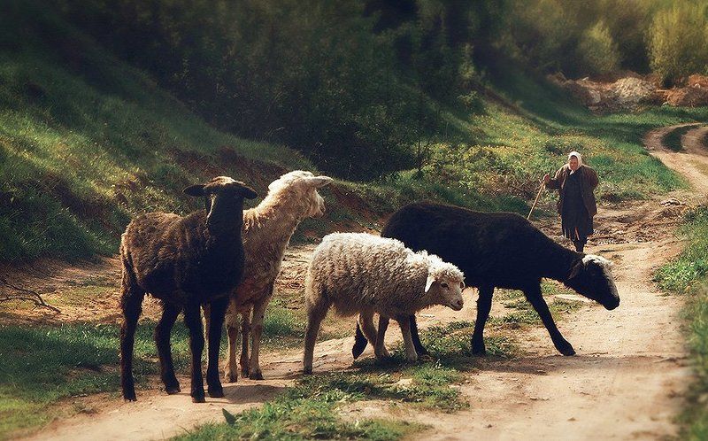 На окраинеphoto preview