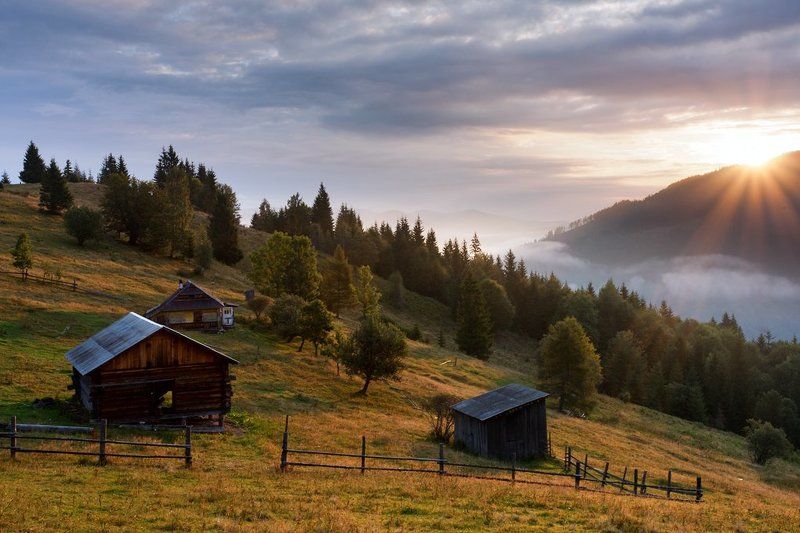 Солнце взошлоphoto preview