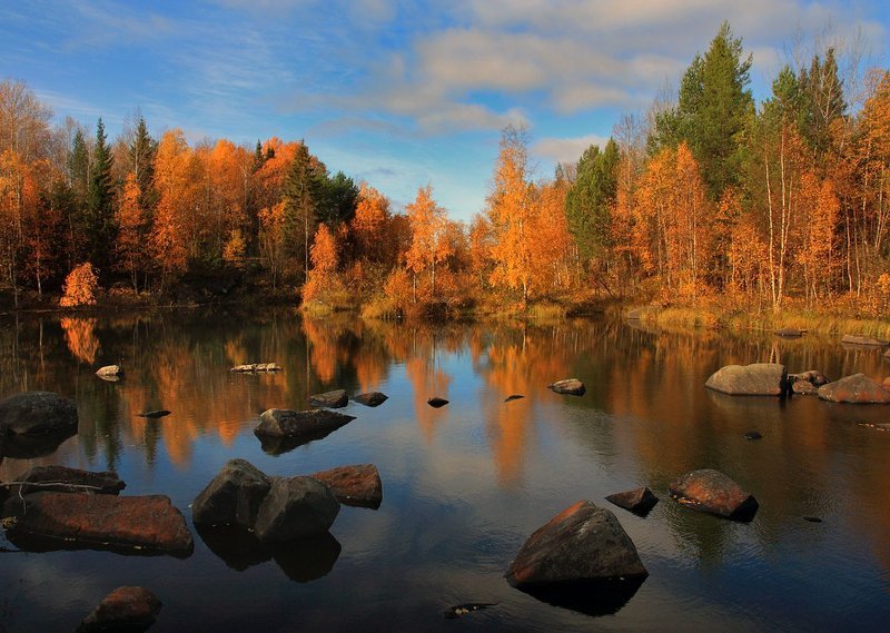 Осеньphoto preview