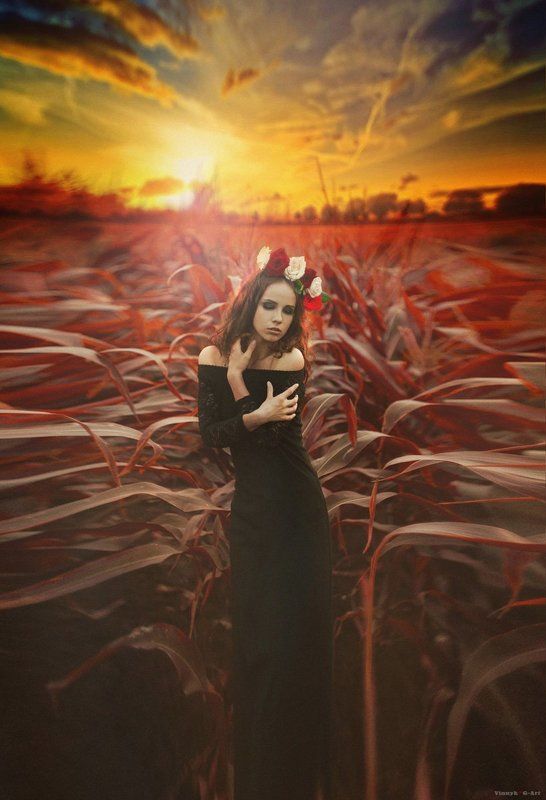 портретыphoto preview