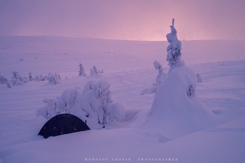 #nature, #туман, #лес, #oсень, #украина, #карпаты, #пейзаж, #закат, #туман, #солнце, #свет, #mountain range, #mountains, #туризм, #лес, #nature, #природа, Драгобра́т (січень 2019)photo preview
