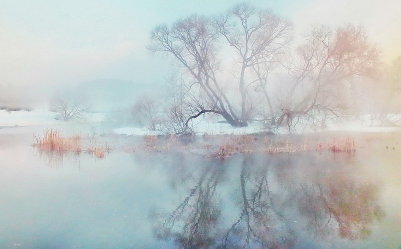 раніца, река, сонейка Зімовая раніцаphoto preview