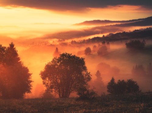 Foggy Sunrise