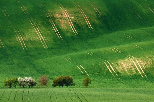 Моравская весна
