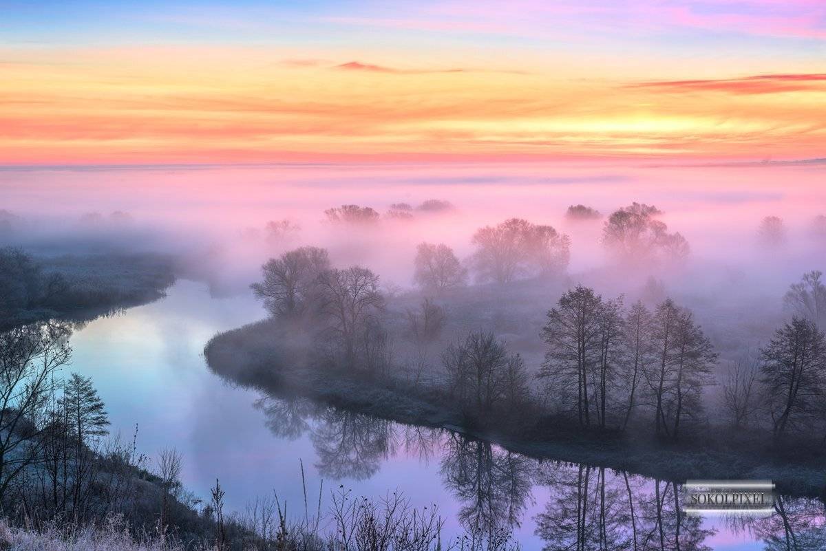 Утренняя палитра. Автор: Андрей Cоколов , Андрей Cоколов