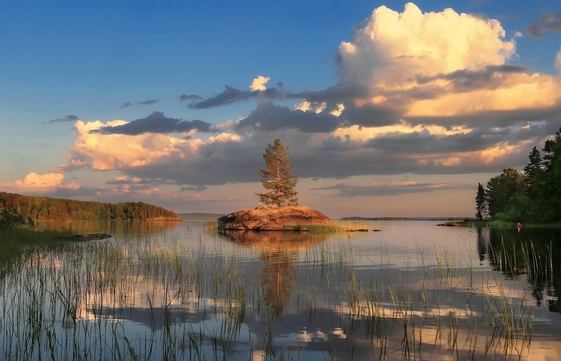 лето, карелия, пейзаж, природа И на камнях растут деревьяphoto preview