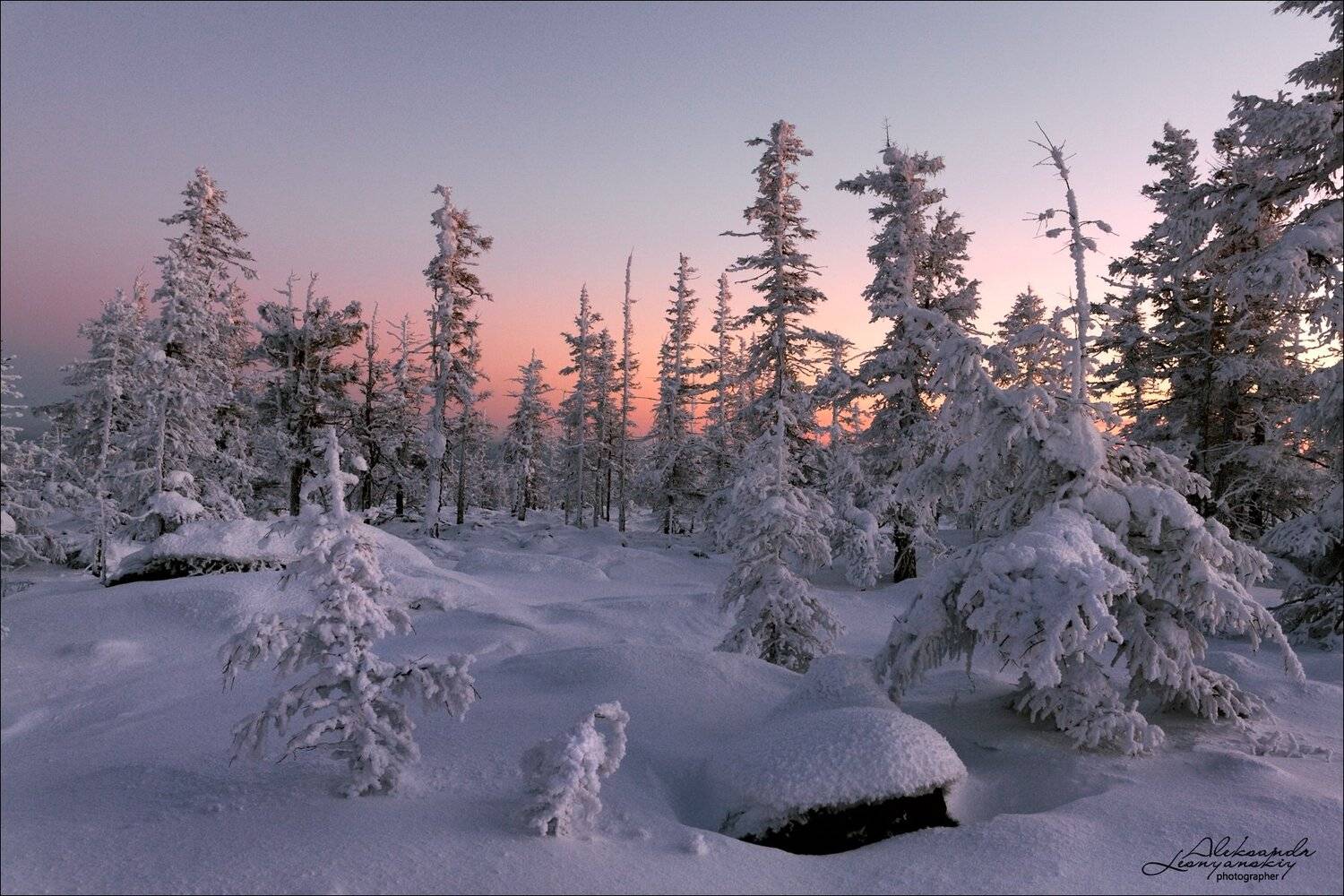 Минус 37. Автор: Александр Леснянский , Александр Леснянский