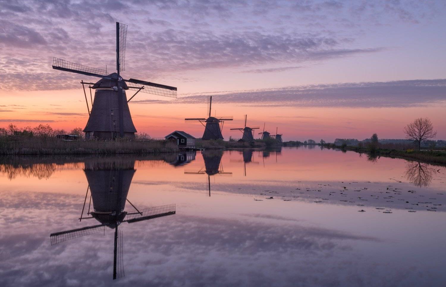 голландия, netherlands, Сергей Алещенко