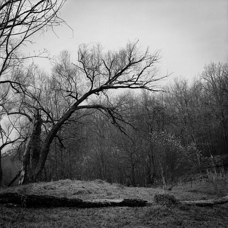 пленка, hasselblad Пенза, Ахуны 3photo preview