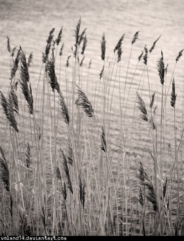 Silence must be sexyphoto preview