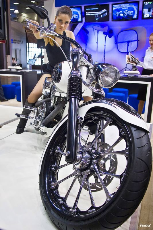 Колесико 2     (Фотофорум 2008)photo preview