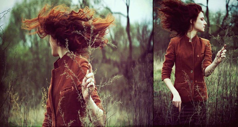 Autumn springphoto preview