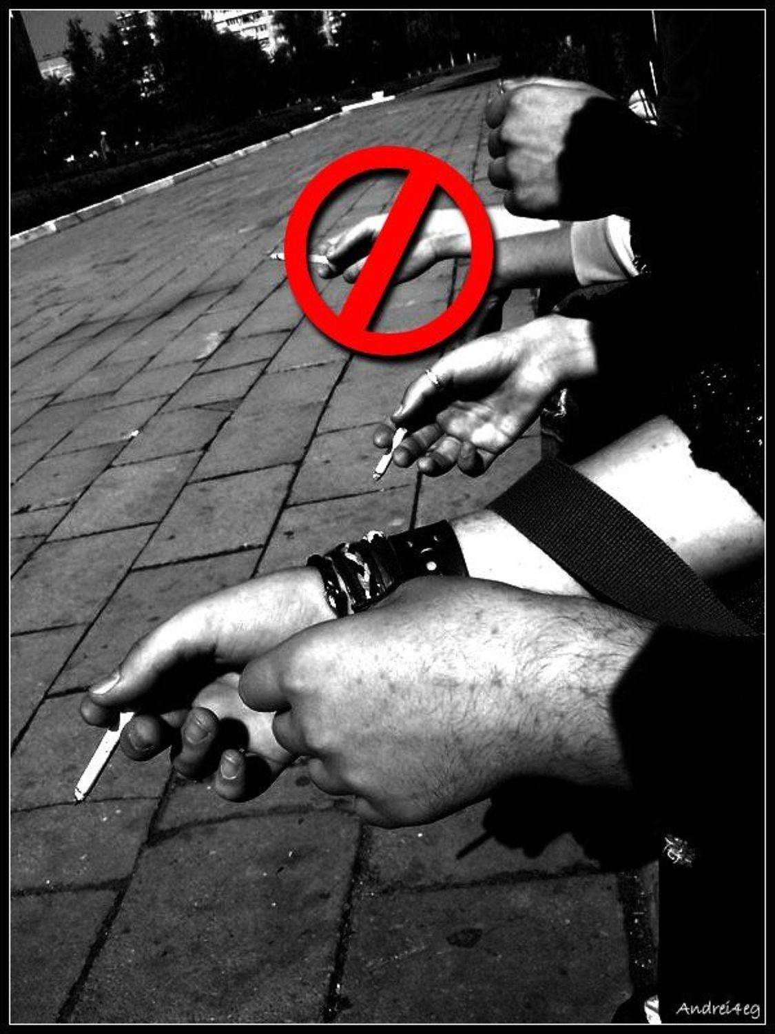 вредно. Автор: Андрей Пипченко , Андрей Пипченко