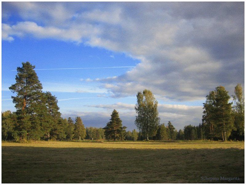 павловск. небо, осень Осеннее небо в Павловскеphoto preview