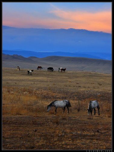 ...было у Бога прозрение...