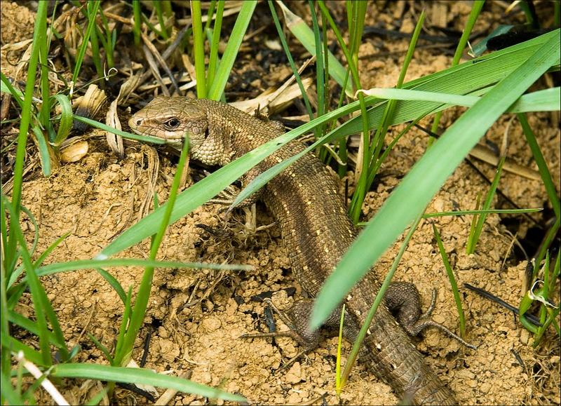 Ну и чего тебе?..photo preview
