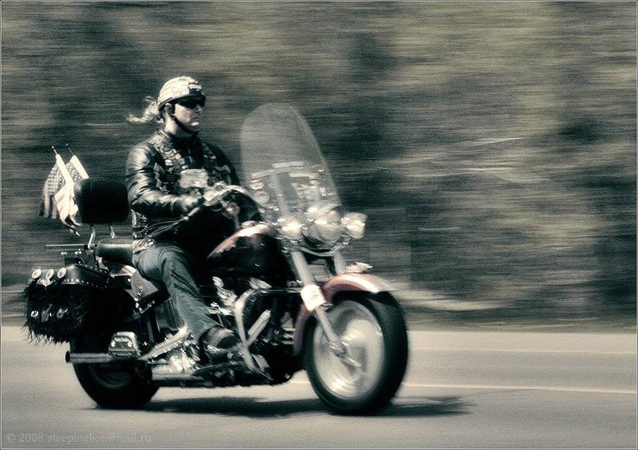Easy Rider.... Автор: Pilgrim pilgrim, harley, easy rider, Pilgrim