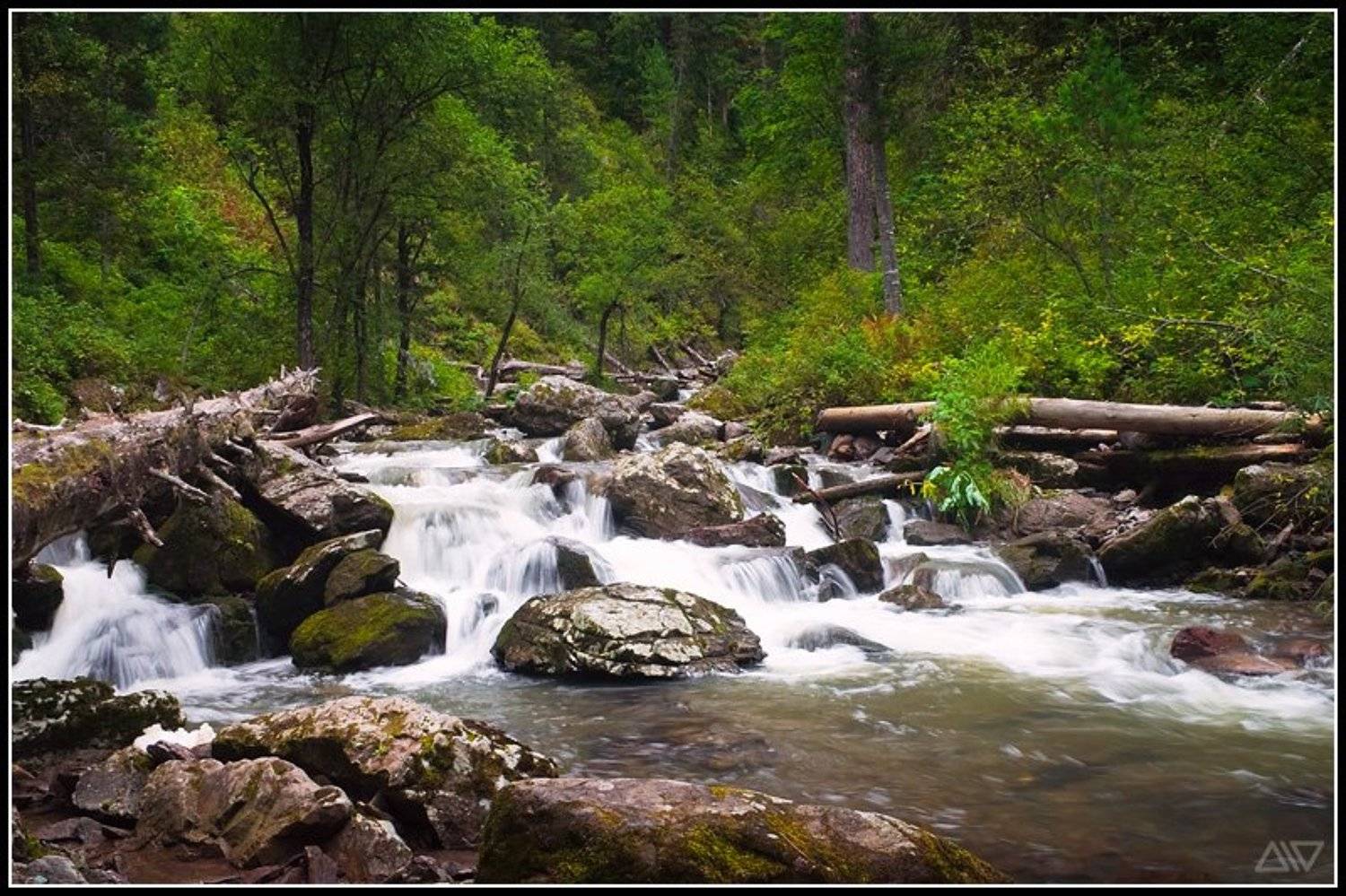 третья речка телецкое озеро, Денис Рассоха
