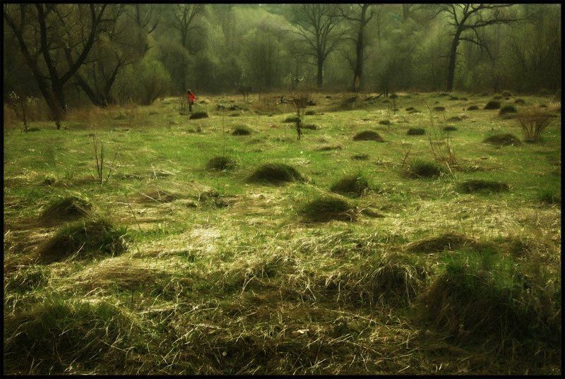 поле, холмы, человек поле чудесphoto preview