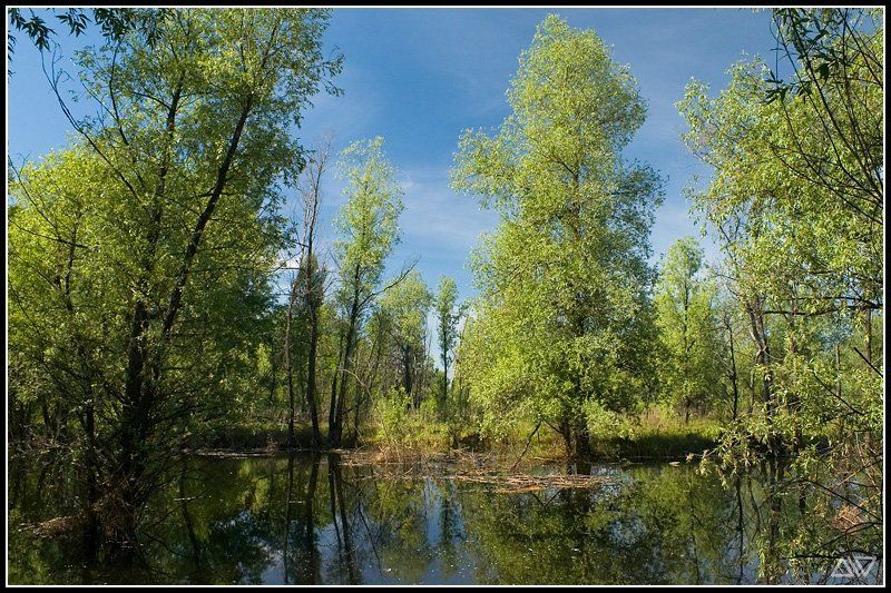 высокая вода ***photo preview