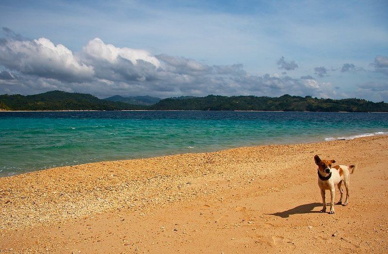 Робинзон (или Пятница)photo preview