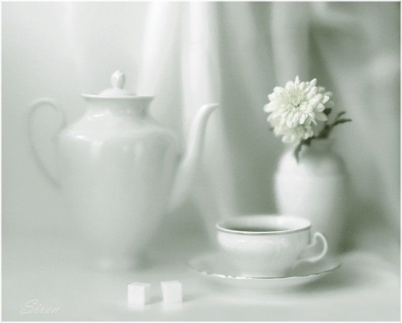 Утреняя свежестьphoto preview