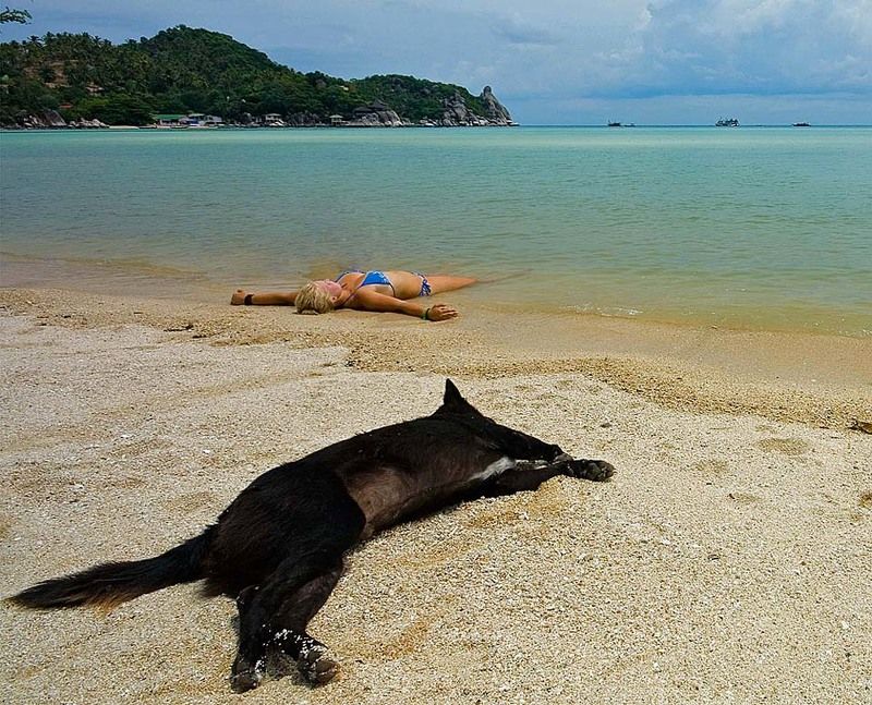 Полный релакс.photo preview