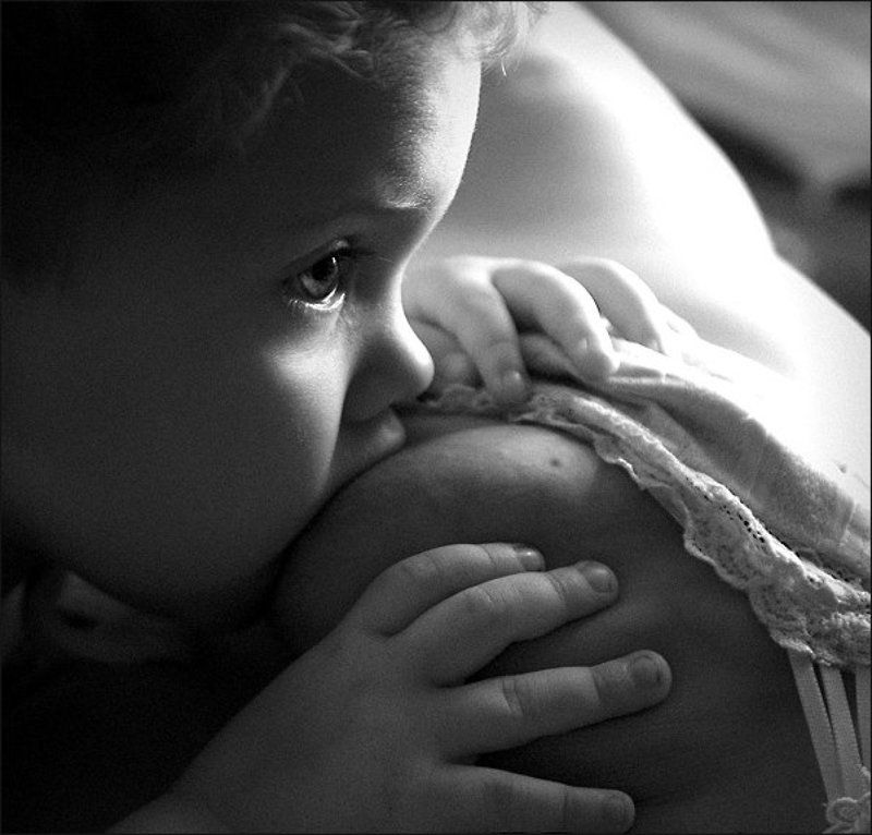 Пристроился...photo preview