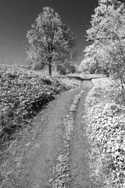 псевдо ик, сон Прогулка во сне, но на явуphoto preview