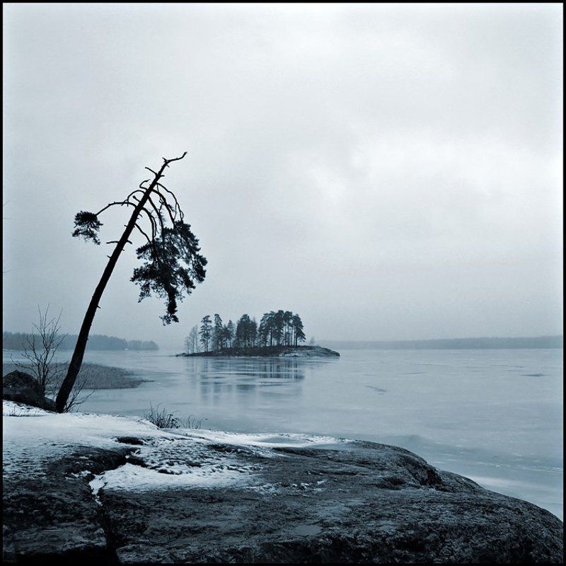 меланхолическаяphoto preview