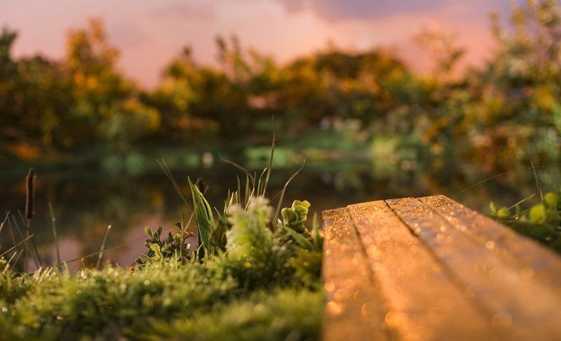 Мосток у тихого прудаphoto preview