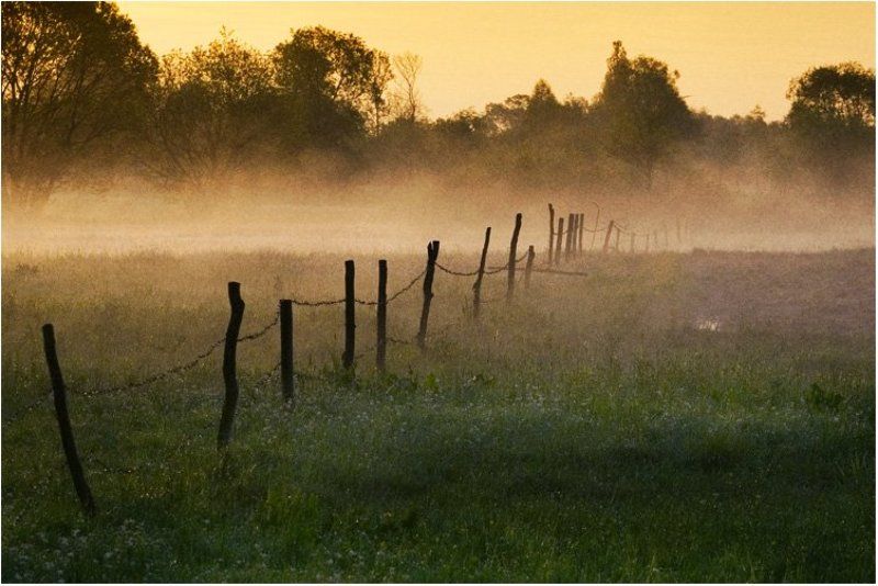 природа ЗА ОКОЛИЦЕЙ РАССВЕТphoto preview