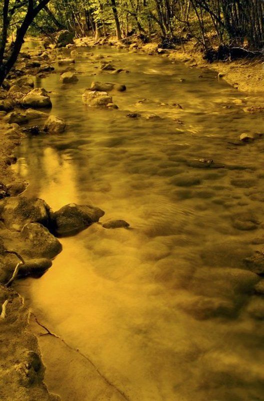 liquid goldphoto preview