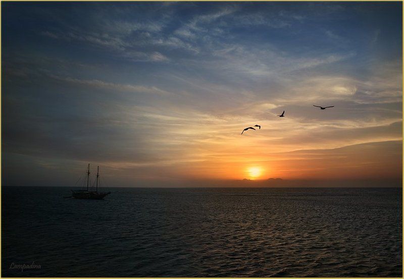 красное море, судан, закат, яхта, чайки Закат над портом Суданphoto preview