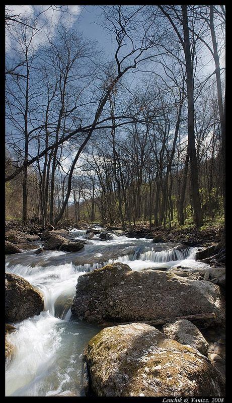 камни, вода,  деревья, весна, фаниз про весенний горный ручейphoto preview