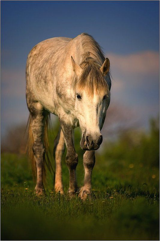 Щяс побеседуем ! Хватограф....photo preview