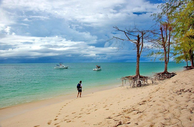 seychelles И на песке растут деревья.....photo preview