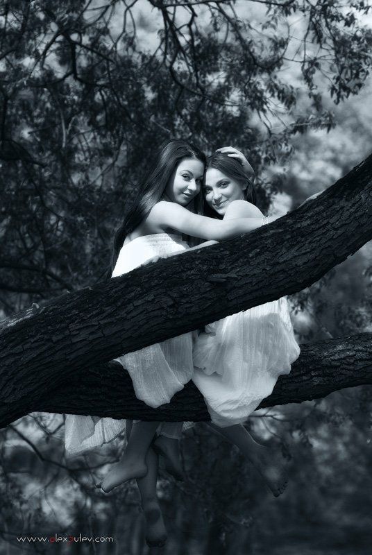 сирены,девушки,красавицы,обольщение,природа Сиреныphoto preview