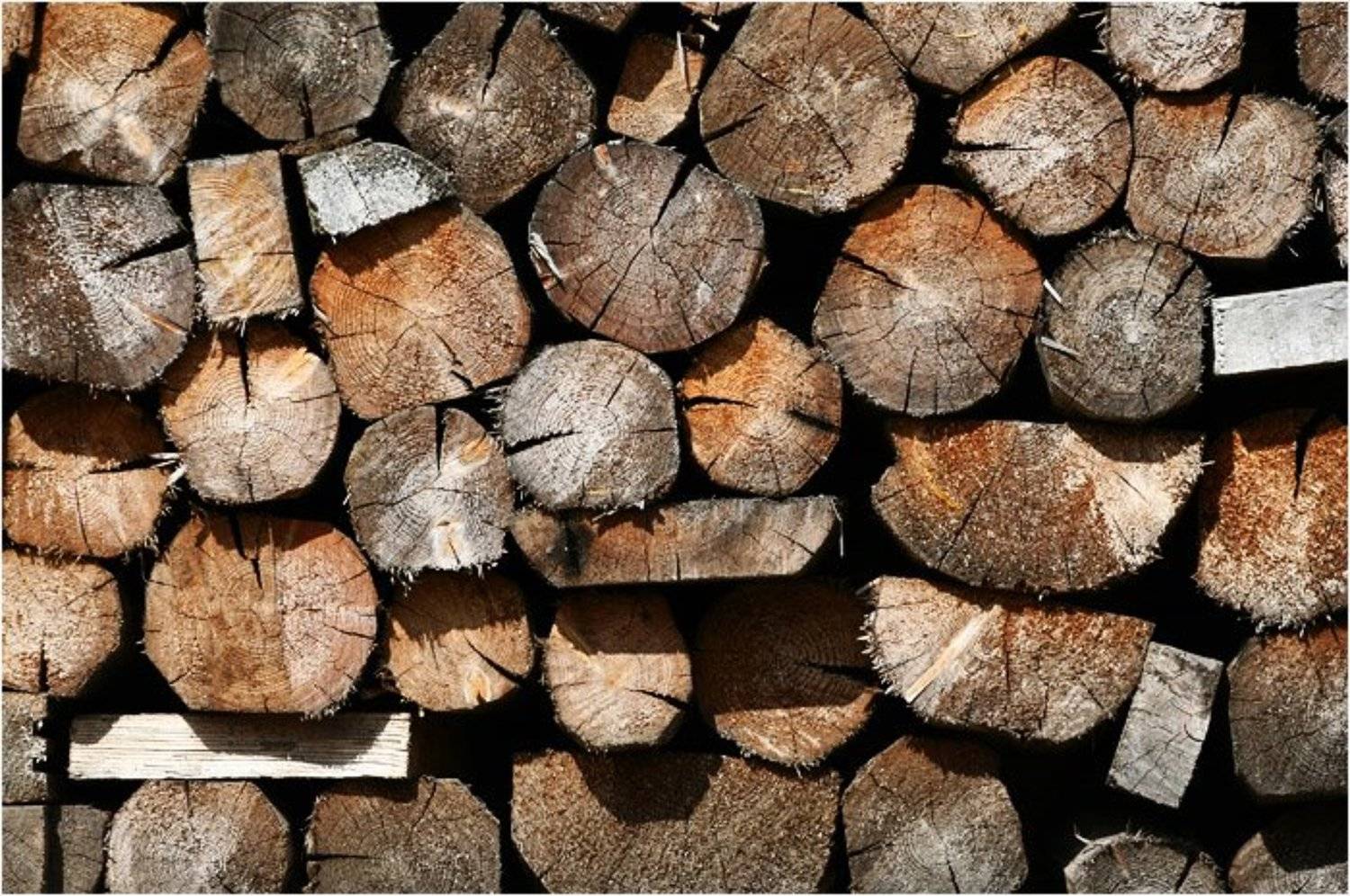 pinocchio, koniae'ff