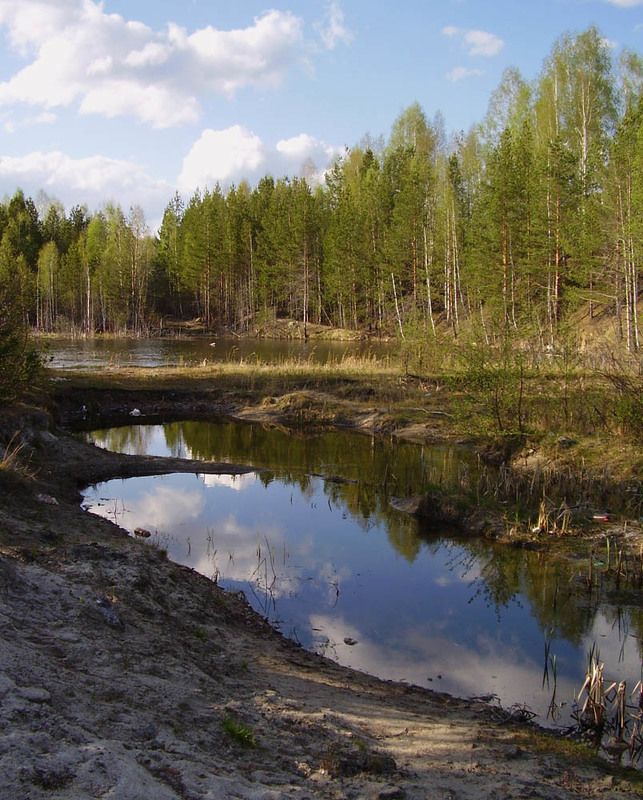 весна, лес, вода, отражение Весенняя прогулкаphoto preview