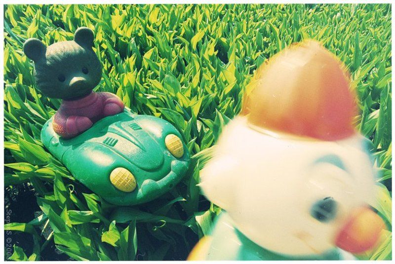 clown bear car stepans //photo preview