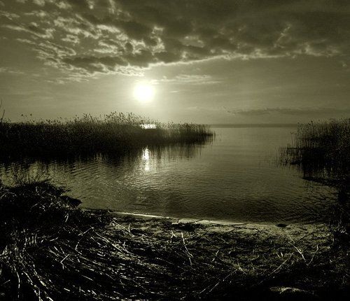 Свет ночной тишины