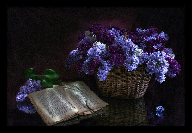 сирень, книга, ночь, световая кисть Нежность Ночиphoto preview