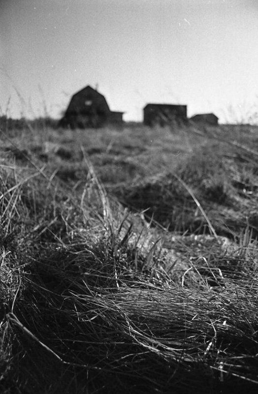 35мм, пленка, ч/б ***photo preview