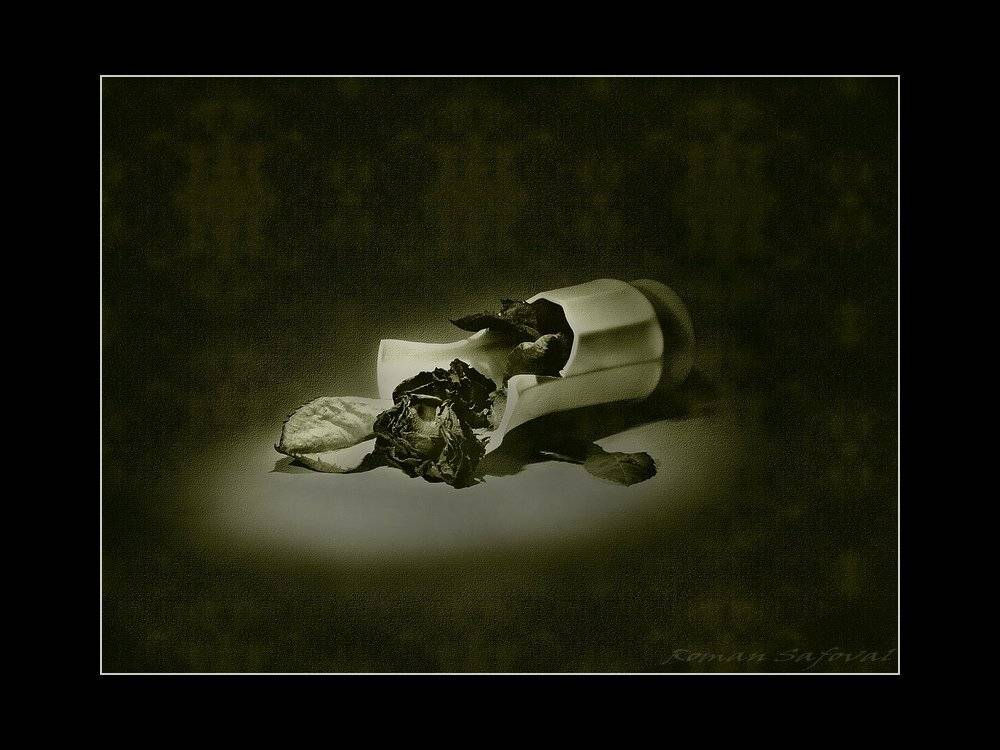 роза,ваза, Роман