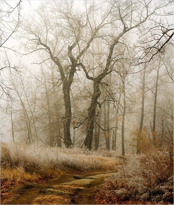 КОЛДУНЫphoto preview